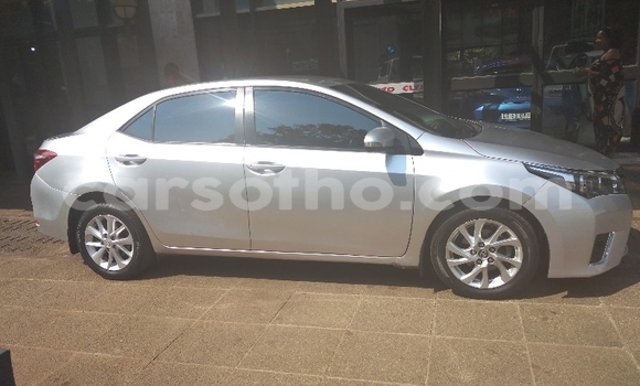 Buy Used Toyota Corolla Silver Car in Maseru in Maseru Buy Used Toyota Corolla Silver Car in Maseru in Maseru