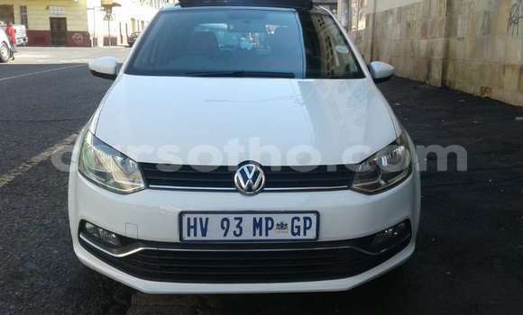 Buy Used Volkswagen Polo White Car in Maseru in Maseru Buy Used Volkswagen Polo White Car in Maseru in Maseru