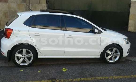 Buy Used Volkswagen Polo White Car in Maseru in Maseru Buy Used Volkswagen Polo White Car in Maseru in Maseru