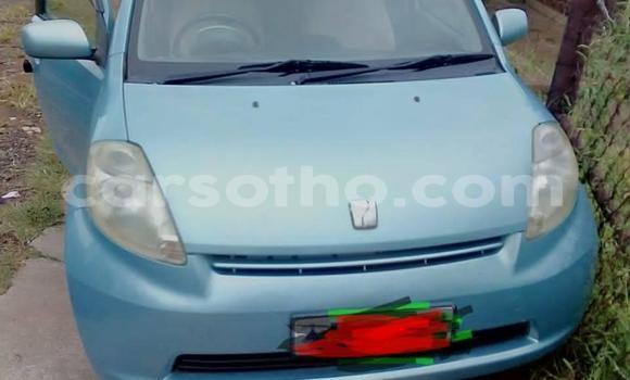 Buy Used Toyota Passo Blue Car in Butha Buthe in Butha-Buthe Buy Used Toyota Passo Blue Car in Butha Buthe in Butha-Buthe