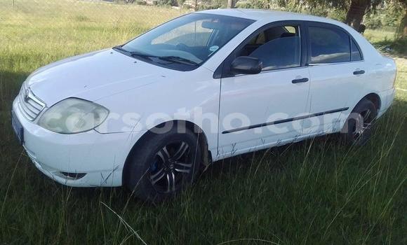 Buy Used Toyota Corolla White Car in Butha Buthe in Butha-Buthe Buy Used Toyota Corolla White Car in Butha Buthe in Butha-Buthe