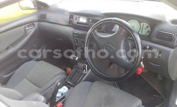 Buy Used Toyota Corolla White Car in Butha Buthe in Butha-Buthe Buy Used Toyota Corolla White Car in Butha Buthe in Butha-Buthe