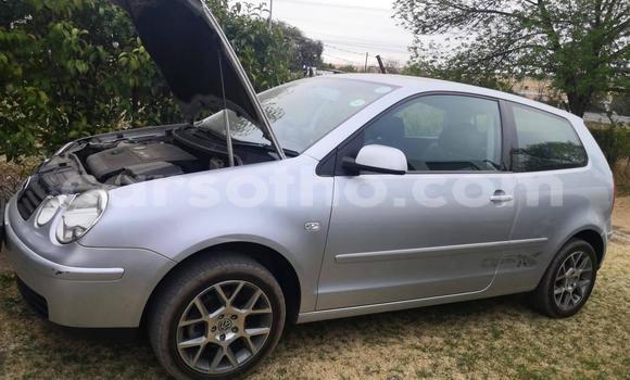 Buy Used Volkswagen Polo Silver Car in Butha Buthe in Butha-Buthe Buy Used Volkswagen Polo Silver Car in Butha Buthe in Butha-Buthe