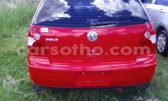 Buy Used Volkswagen Polo Red Car in Butha Buthe in Butha-Buthe Buy Used Volkswagen Polo Red Car in Butha Buthe in Butha-Buthe
