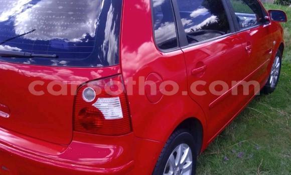 Buy Used Volkswagen Polo Red Car in Butha Buthe in Butha-Buthe Buy Used Volkswagen Polo Red Car in Butha Buthe in Butha-Buthe