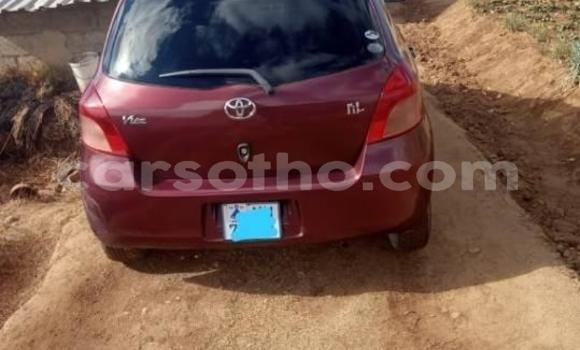 Buy Used Toyota Vitz Red Car in Butha Buthe in Butha-Buthe Buy Used Toyota Vitz Red Car in Butha Buthe in Butha-Buthe