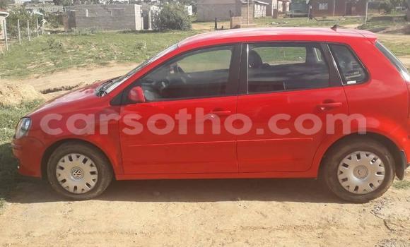 Buy Used Volkswagen Polo Red Car in Butha Buthe in Butha-Buthe Buy Used Volkswagen Polo Red Car in Butha Buthe in Butha-Buthe