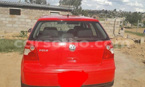 Buy Used Volkswagen Polo Red Car in Butha Buthe in Butha-Buthe Buy Used Volkswagen Polo Red Car in Butha Buthe in Butha-Buthe