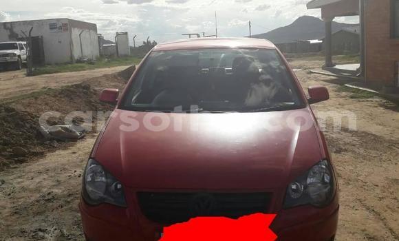 Buy Used Volkswagen Polo Red Car in Butha Buthe in Butha-Buthe Buy Used Volkswagen Polo Red Car in Butha Buthe in Butha-Buthe