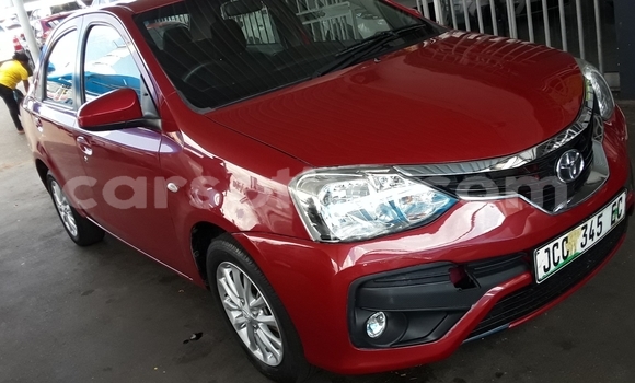 Buy Used Toyota Etios Red Car in Maseru in Maseru Buy Used Toyota Etios Red Car in Maseru in Maseru