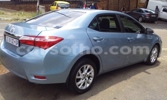 Buy Used Toyota Corolla Blue Car in Maseru in Maseru Buy Used Toyota Corolla Blue Car in Maseru in Maseru