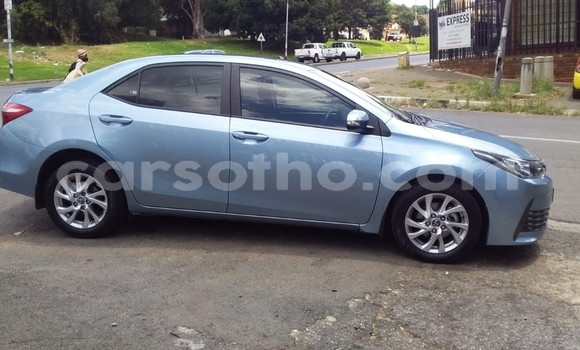 Buy Used Toyota Corolla Blue Car in Maseru in Maseru Buy Used Toyota Corolla Blue Car in Maseru in Maseru