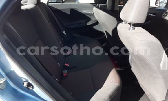 Sayi Na hannu Toyota Corolla Blue Mota in Maputsoe a Leribe Sayi Na hannu Toyota Corolla Blue Mota in Maputsoe a Leribe