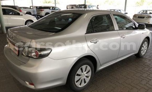 Acheter Occasion Voiture Toyota Corolla Gris à Maputsoa, Leribe Acheter Occasion Voiture Toyota Corolla Gris à Maputsoa, Leribe