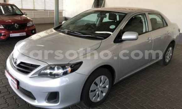 Acheter Occasion Voiture Toyota Corolla Gris à Maputsoa, Leribe Acheter Occasion Voiture Toyota Corolla Gris à Maputsoa, Leribe