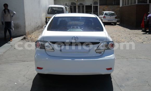 Sayi Na hannu Toyota Corolla White Mota in Maputsoa a Leribe Sayi Na hannu Toyota Corolla White Mota in Maputsoa a Leribe