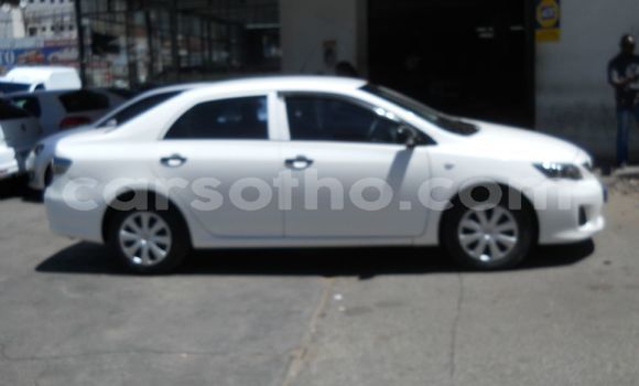 Sayi Na hannu Toyota Corolla White Mota in Maputsoa a Leribe Sayi Na hannu Toyota Corolla White Mota in Maputsoa a Leribe