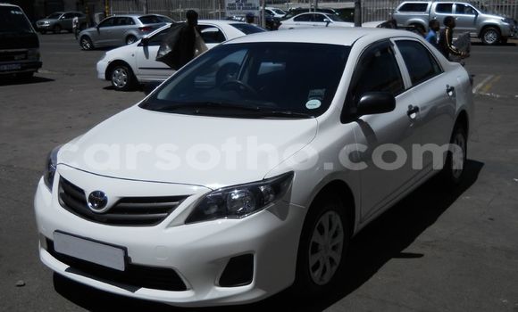 Sayi Na hannu Toyota Corolla White Mota in Maputsoa a Leribe Sayi Na hannu Toyota Corolla White Mota in Maputsoa a Leribe