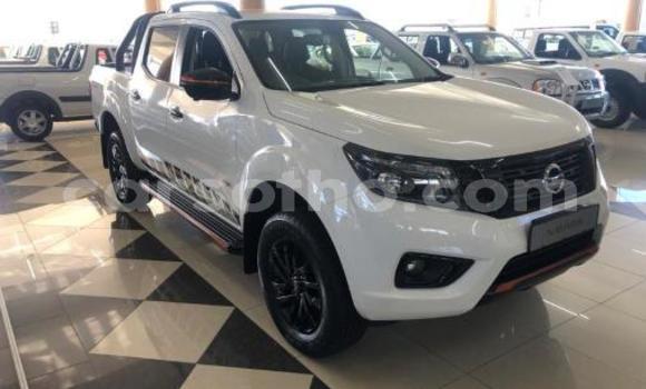 Acheter Occasion Voiture Nissan Navara Vert à Hlotse, Leribe Acheter Occasion Voiture Nissan Navara Vert à Hlotse, Leribe
