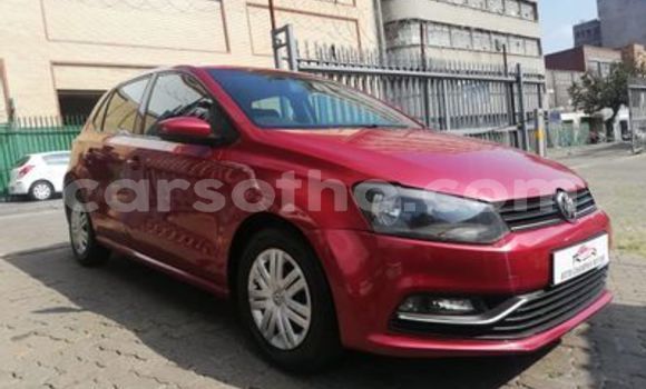 Acheter Occasion Voiture Volkswagen Polo Rouge à Butha Buthe, Butha-Buthe Acheter Occasion Voiture Volkswagen Polo Rouge à Butha Buthe, Butha-Buthe