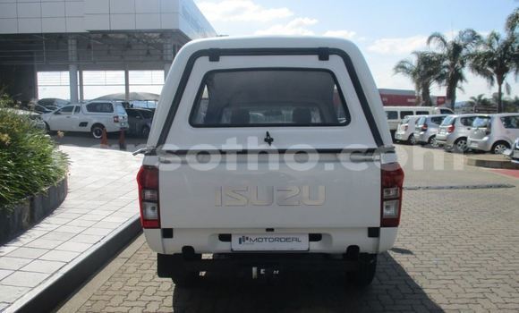 Buy Used Isuzu KB White Car in Hlotse in Leribe Buy Used Isuzu KB White Car in Hlotse in Leribe