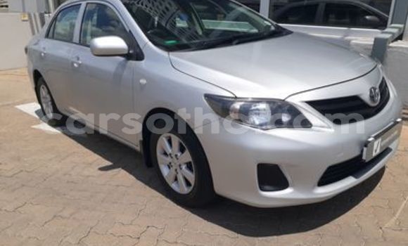 Buy Used Toyota Corolla Silver Car in Hlotse in Leribe Buy Used Toyota Corolla Silver Car in Hlotse in Leribe