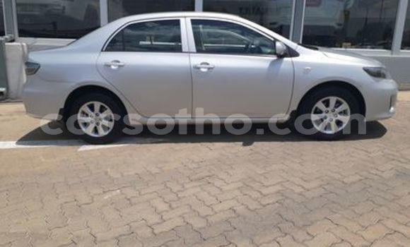 Buy Used Toyota Corolla Silver Car in Hlotse in Leribe Buy Used Toyota Corolla Silver Car in Hlotse in Leribe