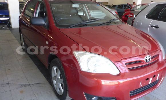 Buy Used Toyota Runx Red Car in Maseru in Maseru Buy Used Toyota Runx Red Car in Maseru in Maseru