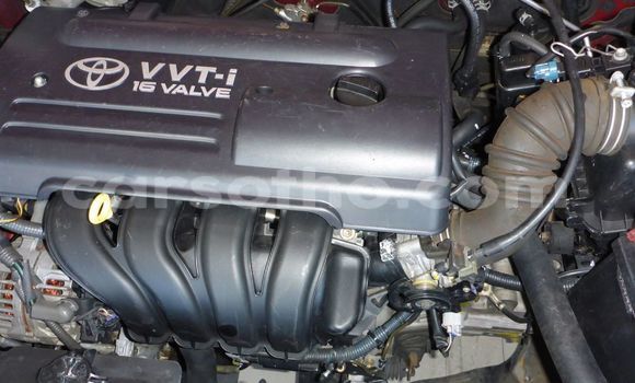 Buy Used Toyota Runx Red Car in Maseru in Maseru Buy Used Toyota Runx Red Car in Maseru in Maseru