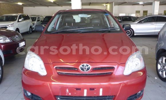 Buy Used Toyota Runx Red Car in Maseru in Maseru Buy Used Toyota Runx Red Car in Maseru in Maseru