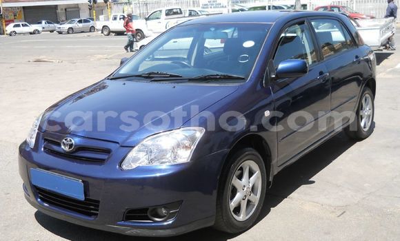 Buy Used Toyota Runx Blue Car in Maputsoe in Leribe Buy Used Toyota Runx Blue Car in Maputsoe in Leribe