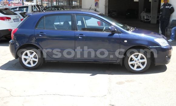Buy Used Toyota Runx Blue Car in Maputsoe in Leribe Buy Used Toyota Runx Blue Car in Maputsoe in Leribe