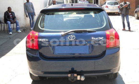 Buy Used Toyota Runx Blue Car in Maputsoe in Leribe Buy Used Toyota Runx Blue Car in Maputsoe in Leribe