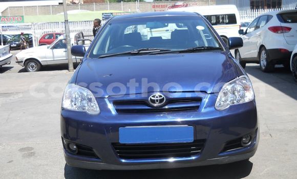 Buy Used Toyota Runx Blue Car in Maputsoe in Leribe Buy Used Toyota Runx Blue Car in Maputsoe in Leribe