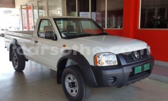 Buy Used Nissan NP 300 White Car in Maputsoe in Leribe Buy Used Nissan NP 300 White Car in Maputsoe in Leribe