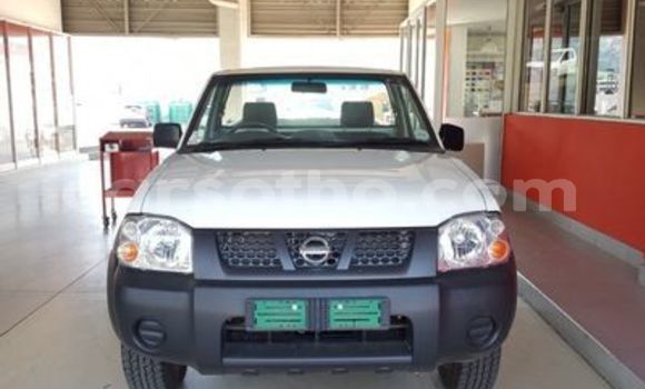 Buy Used Nissan NP 300 White Car in Maputsoe in Leribe Buy Used Nissan NP 300 White Car in Maputsoe in Leribe