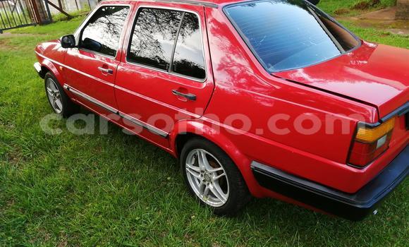 اشتري مستعمل Volkswagen Golf Red سيارة في Butha–Buthe في Thaba-Tseka اشتري مستعمل Volkswagen Golf Red سيارة في Butha–Buthe في Thaba-Tseka