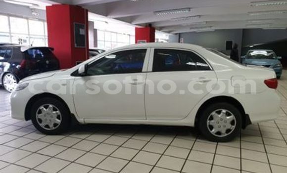 Sayi Na hannu Toyota Corolla White Mota in Mohale's Hoek a Mohale's Hoek Sayi Na hannu Toyota Corolla White Mota in Mohale's Hoek a Mohale's Hoek