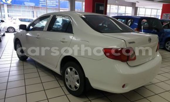 Sayi Na hannu Toyota Corolla White Mota in Mohale's Hoek a Mohale's Hoek Sayi Na hannu Toyota Corolla White Mota in Mohale's Hoek a Mohale's Hoek