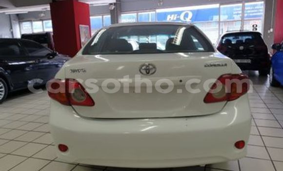 Sayi Na hannu Toyota Corolla White Mota in Mohale's Hoek a Mohale's Hoek Sayi Na hannu Toyota Corolla White Mota in Mohale's Hoek a Mohale's Hoek