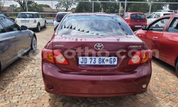 Acheter Occasion Voiture Toyota Corolla Rouge à Butha Buthe, Butha-Buthe Acheter Occasion Voiture Toyota Corolla Rouge à Butha Buthe, Butha-Buthe