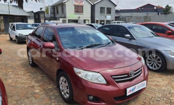 Acheter Occasion Voiture Toyota Corolla Rouge à Butha Buthe, Butha-Buthe Acheter Occasion Voiture Toyota Corolla Rouge à Butha Buthe, Butha-Buthe