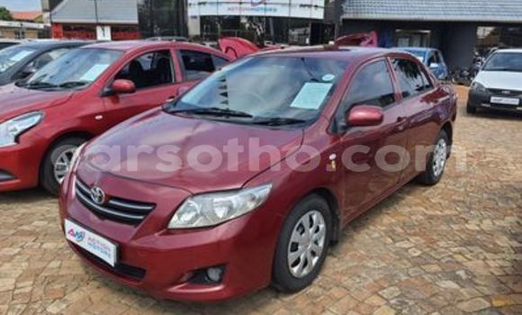 Acheter Occasion Voiture Toyota Corolla Rouge à Butha Buthe, Butha-Buthe Acheter Occasion Voiture Toyota Corolla Rouge à Butha Buthe, Butha-Buthe