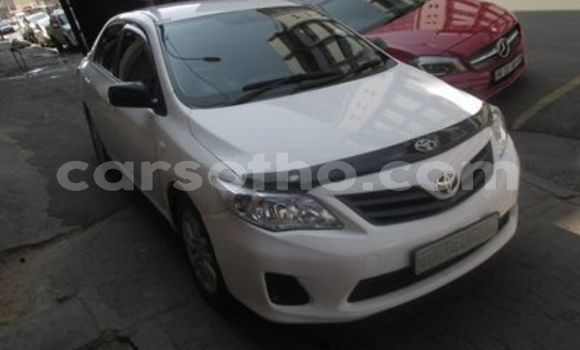 Acheter Occasion Voiture Toyota Corolla Blanc à Maseru, Maseru Acheter Occasion Voiture Toyota Corolla Blanc à Maseru, Maseru