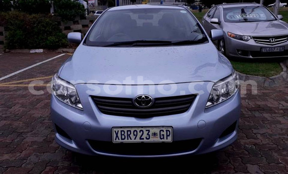Acheter Occasion Voiture Toyota Corolla Gris à Hlotse, Leribe Acheter Occasion Voiture Toyota Corolla Gris à Hlotse, Leribe