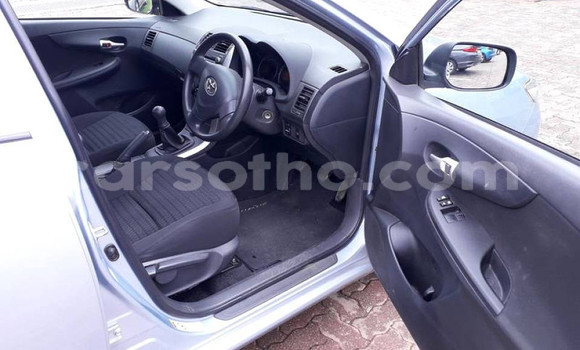Acheter Occasion Voiture Toyota Corolla Gris à Hlotse, Leribe Acheter Occasion Voiture Toyota Corolla Gris à Hlotse, Leribe