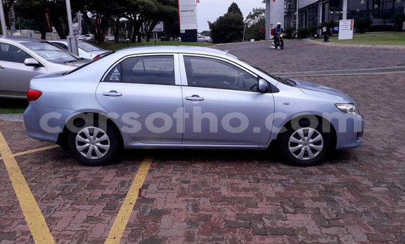 Acheter Occasion Voiture Toyota Corolla Gris à Hlotse, Leribe Acheter Occasion Voiture Toyota Corolla Gris à Hlotse, Leribe