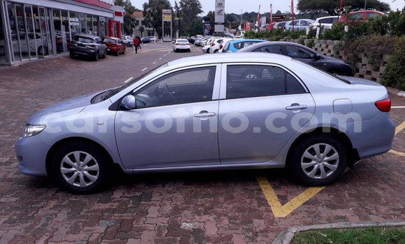 Acheter Occasion Voiture Toyota Corolla Gris à Hlotse, Leribe Acheter Occasion Voiture Toyota Corolla Gris à Hlotse, Leribe