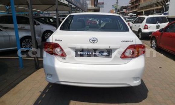 Acheter Occasion Voiture Toyota Corolla Blanc à Hlotse, Leribe Acheter Occasion Voiture Toyota Corolla Blanc à Hlotse, Leribe