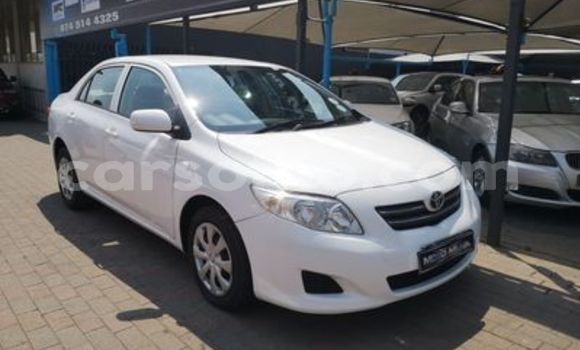 Acheter Occasion Voiture Toyota Corolla Blanc à Hlotse, Leribe Acheter Occasion Voiture Toyota Corolla Blanc à Hlotse, Leribe